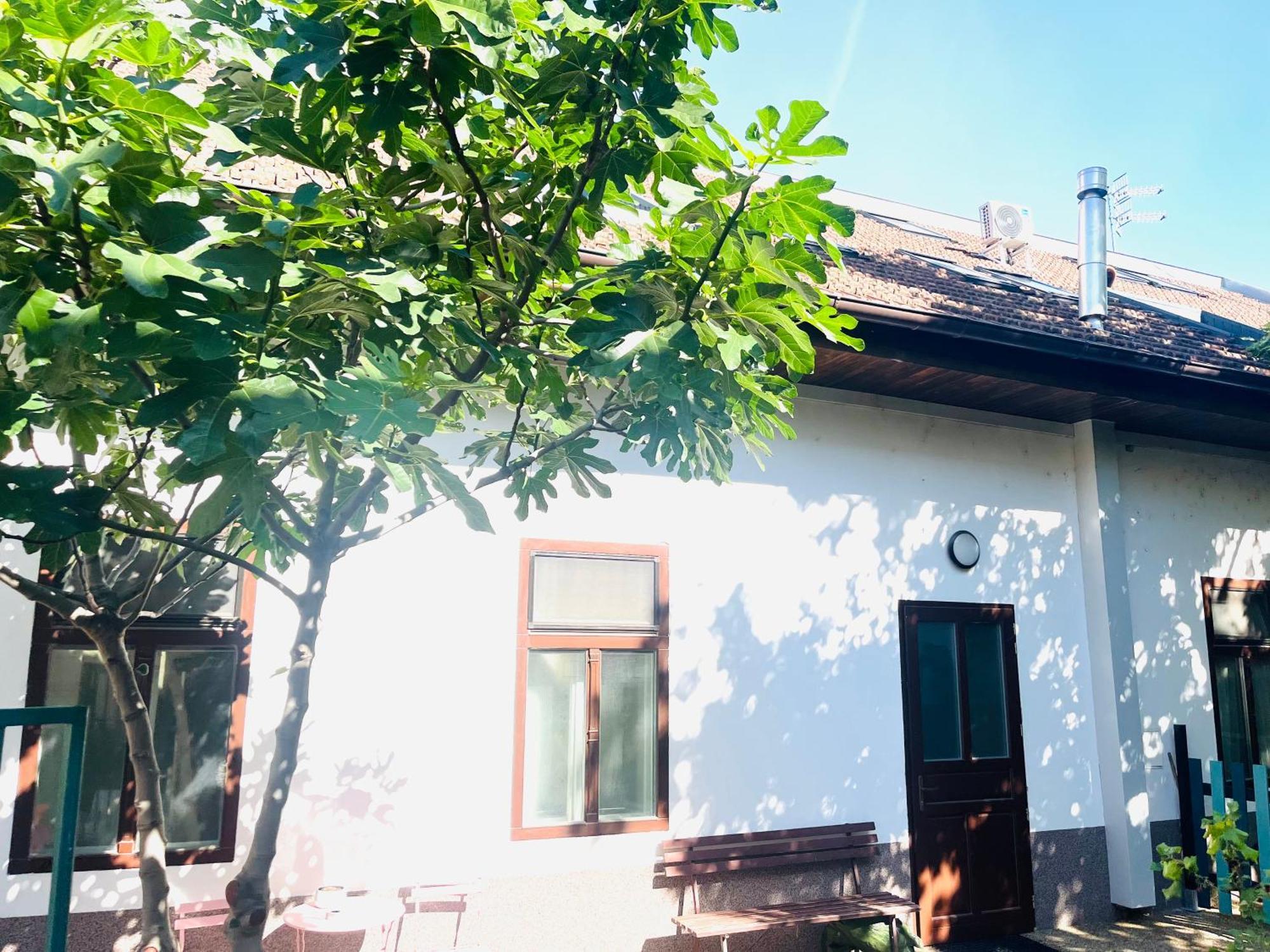 Jokai Apartman Komárno Zewnętrze zdjęcie